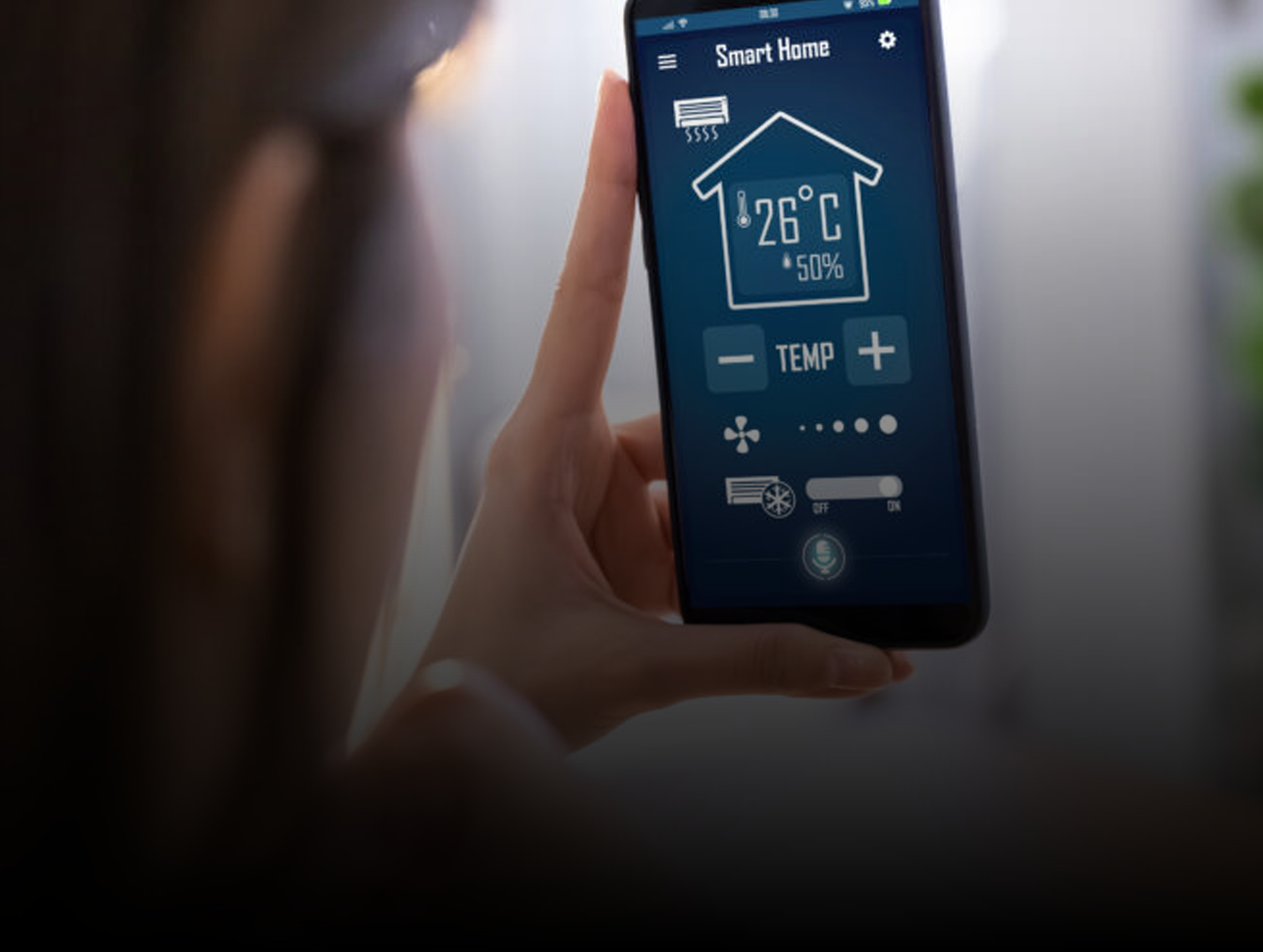 IT Management Services